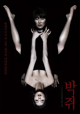 박쥐